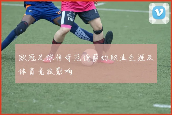 欧冠足球传奇范德萨的职业生涯及体育竞技影响