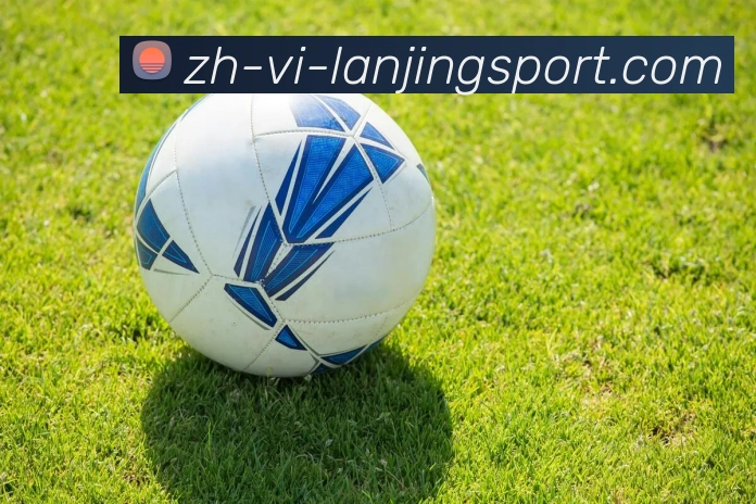 蓝鲸体育APP 体育赛事宣传图